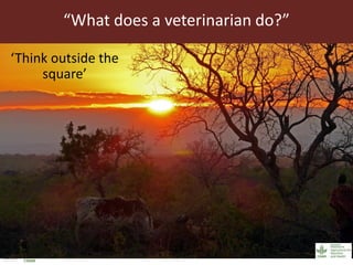 Veterinary skills for international development