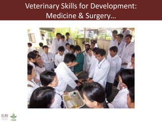 Veterinary skills for international development
