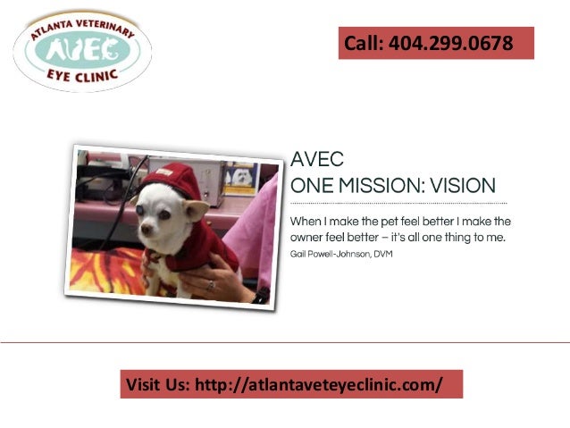 vets open on the weekend near me