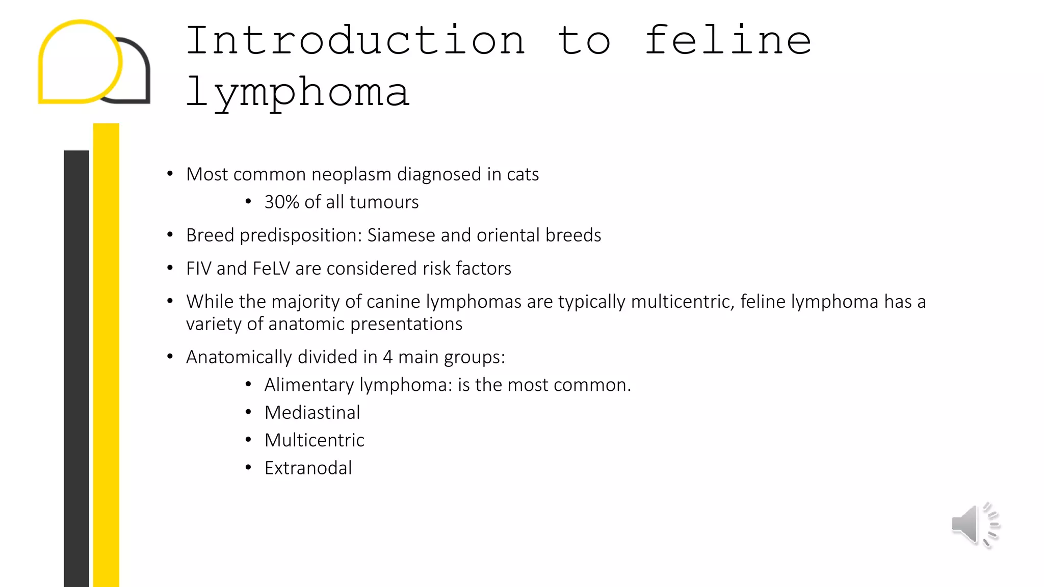 Fresh Look at How To Treat Feline Lymphoma
