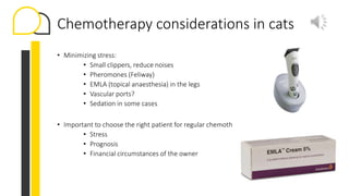 How to treat feline lymphoma | PPTX