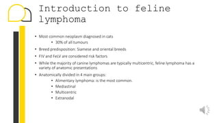View of How to treat feline lymphoma | PPTX