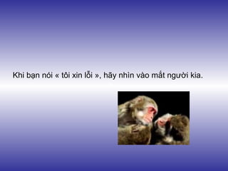 Khi bạn nói « tôi xin lỗi », hãy nhìn vào mắt người kia.
 