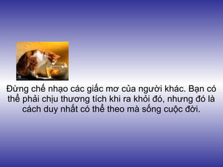 Đừng chế nhạo các giấc mơ của người khác. Bạn có
thể phải chịu thương tích khi ra khỏi đó, nhưng đó là
    cách duy nhất có thể theo mà sống cuộc đời.
 