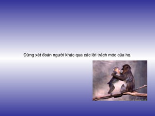 Đừng xét đoán người khác qua các lời trách móc của họ.
 