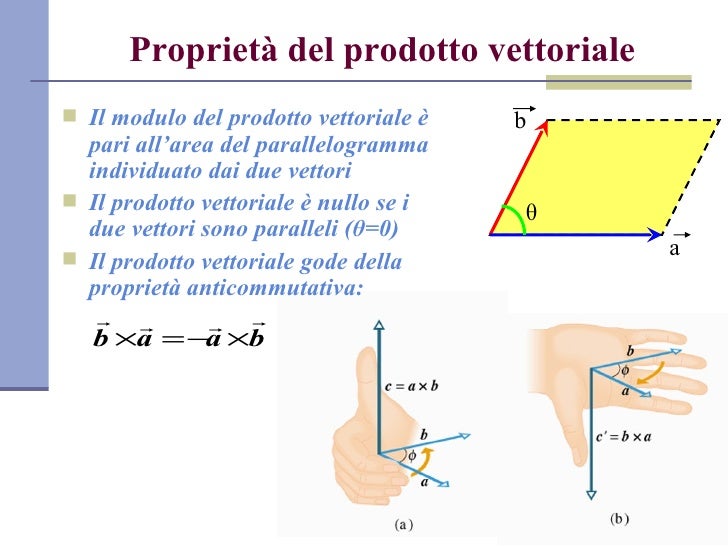 Ente Geometrico Che Ha Una Direzione E Due Versi