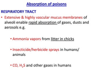 Vet toxicology and environmental toxicol | PPTX