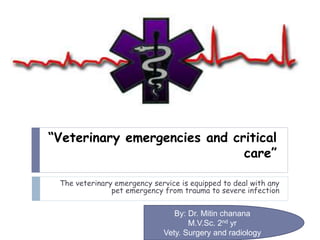 “Veterinary emergencies and critical
care”
The veterinary emergency service is equipped to deal with any
pet emergency from trauma to severe infection
By: Dr. Mitin chanana
M.V.Sc. 2nd yr
Vety. Surgery and radiology
 