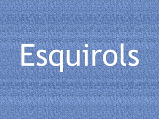 Esquirols 