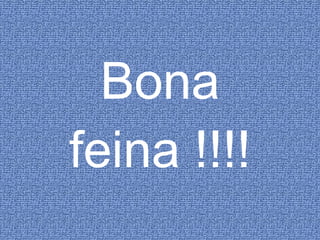 Bona feina !!!! 