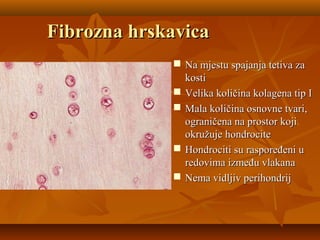 Fibrozna hrskavicaFibrozna hrskavica
 Na mjestu spajanja tetiva zaNa mjestu spajanja tetiva za
kostikosti
 Velika količina kolagena tip IVelika količina kolagena tip I
 Mala količina osnovne tvari,Mala količina osnovne tvari,
ograničena na prostor kojiograničena na prostor koji
okružuje hondrociteokružuje hondrocite
 Hondrociti su raspoređeni uHondrociti su raspoređeni u
redovima između vlakanaredovima između vlakana
 Nema vidljiv perihondrijNema vidljiv perihondrij
 