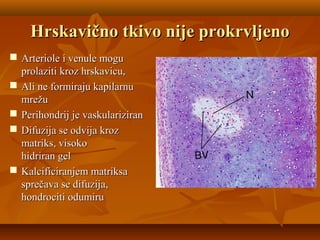 Hrskavično tkivo nije prokrvljenoHrskavično tkivo nije prokrvljeno
 Arteriole i venule moguArteriole i venule mogu
prolaziti kroz hrskavicu,prolaziti kroz hrskavicu,
 Ali ne formiraju kapilarnuAli ne formiraju kapilarnu
mrežumrežu
 Perihondrij je vaskulariziranPerihondrij je vaskulariziran
 Difuzija se odvija krozDifuzija se odvija kroz
matriks, visokomatriks, visoko
hidriran gelhidriran gel
 Kalcificiranjem matriksaKalcificiranjem matriksa
sprečava se difuzija,sprečava se difuzija,
hondrociti odumiruhondrociti odumiru
 