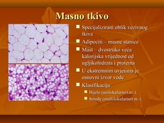 Masno tkivoMasno tkivo
 Specijalizirani oblik vezivnogSpecijalizirani oblik vezivnog
tkivatkiva
 Adipociti – masne staniceAdipociti – masne stanice
 Mast – dvostruko većaMast – dvostruko veća
kalorijska vrijednost odkalorijska vrijednost od
ugljikohidrata i proteinaugljikohidrata i proteina
 U ekstremnim uvjetima jeU ekstremnim uvjetima je
osnovni izvor vodeosnovni izvor vode
 KlasifikacijaKlasifikacija
 Bijelo (unilokularno) m. t.Bijelo (unilokularno) m. t.
 Smeđe (multilokularno) m. t.Smeđe (multilokularno) m. t.
 