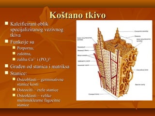 Koštano tkivoKoštano tkivo
 Kalcificirani oblikKalcificirani oblik
specijaliziranog vezivnogspecijaliziranog vezivnog
tkivatkiva
 Funkcije suFunkcije su
 Potporna,Potporna,
 zaštitna,zaštitna,
 zaliha Cazaliha Ca2+2+
i (POi (PO44))3-3-
 Građen od stanica i matriksaGrađen od stanica i matriksa
 Stanice:Stanice:
 Osteoblasti – germinativneOsteoblasti – germinativne
stanice kostistanice kosti
 Osteociti – zrele staniceOsteociti – zrele stanice
 Osteoklasti – velikeOsteoklasti – velike
multinuklearne fagocitnemultinuklearne fagocitne
stanicestanice
 