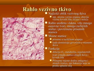 Rahlo vezivno tkivoRahlo vezivno tkivo
 Najčešći oblik vezivnog tkivaNajčešći oblik vezivnog tkiva
 npr. stroma većine organa, obavijanpr. stroma većine organa, obavija
većinu krvnih žila, živaca i mišićavećinu krvnih žila, živaca i mišića
 Rahlo uređena vlakna, vrlo mnogoRahlo uređena vlakna, vrlo mnogo
osnovne tvari, mnogo različitihosnovne tvari, mnogo različitih
stalno i povremeno prisutnihstalno i povremeno prisutnih
stanicastanica
 Masne staniceMasne stanice
 prisutne u različitom stupnjuprisutne u različitom stupnju
 kada dominiraju govorimo o masnomkada dominiraju govorimo o masnom
tkivutkivu
 FunkcijaFunkcija
 difuzija Odifuzija O22, metabolita, regulatornih, metabolita, regulatornih
tvari između stanica drugih tkiva itvari između stanica drugih tkiva i
krvnih žilakrvnih žila
 Primarno mjesto dodira antigena iPrimarno mjesto dodira antigena i
stranih čestica, npr bakterija koje sustranih čestica, npr bakterija koje su
prošle epitelni slojprošle epitelni sloj
 