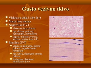 Gusto vezivno tkivoGusto vezivno tkivo
 Vlakna su duža i više ih jeVlakna su duža i više ih je
 Manji broj stanicaManji broj stanica
 Nepravilno GVTNepravilno GVT
 vlakna su isprepletenavlakna su isprepletena
 npr. derma, periostij,npr. derma, periostij,
perihondrij, submukozaperihondrij, submukoza
 kapsule limfnih čvorova,kapsule limfnih čvorova,
slezene, testisa, jetre i dr.slezene, testisa, jetre i dr.
 Pravilno GVTPravilno GVT
 vlakna su paralelna, tijesnovlakna su paralelna, tijesno
pakirna, s ujednačenimpakirna, s ujednačenim
razmakomrazmakom
 npr. tetive, ligamenti, stromanpr. tetive, ligamenti, stroma
rožnicerožnice
 Kolageno, elastično iKolageno, elastično i
retikularno tkivoretikularno tkivo
 