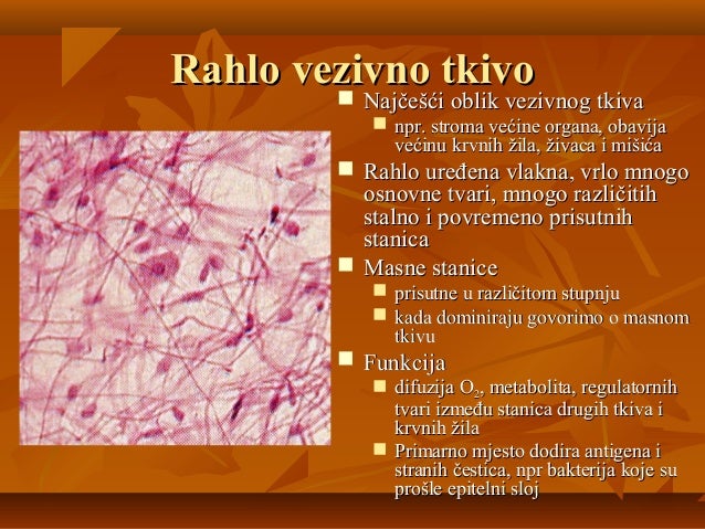 VEZIVNO TKIVO EBOOK VEZIVNO TKIVO EBOOK