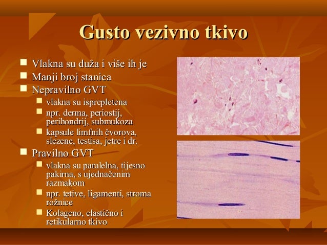 VEZIVNO TKIVO EBOOK VEZIVNO TKIVO EBOOK