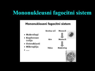 Mononukleusni fagocitni sistem
 