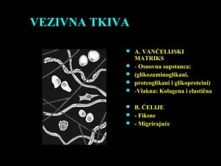 VEZIVNA TKIVA
 A. VANĆELIJSKI
MATRIKS
 - Osnovna supstanca:
 (glikozaminoglikani,
 proteoglikani i glikoproteini)
 -Vlakna: Kolagena i elastična
 B. ĆELIJE
 - Fiksne
 - Migrirajuće
 