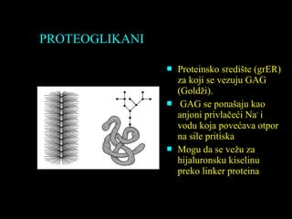 PROTEOGLIKANI
 Proteinsko središte (grER)
za koji se vezuju GAG
(Goldži).
 GAG se ponašaju kao
anjoni privlačeći Na+
i
vodu koja povećava otpor
na sile pritiska
 Mogu da se vežu za
hijaluronsku kiselinu
preko linker proteina
 