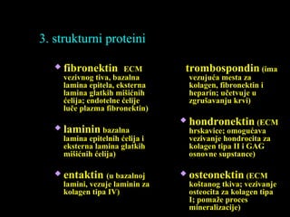 3. strukturni proteini
 fibronektin ECM
vezivnog tiva, bazalna
lamina epitela, eksterna
lamina glatkih mišićnih
ćelija; endotelne ćelije
luče plazma fibronektin)
 laminin bazalna
lamina epitelnih ćelija i
eksterna lamina glatkih
mišićnih ćelija)
 entaktin (u bazalnoj
lamini, vezuje laminin za
kolagen tipa IV)
trombospondin (ima
vezujuća mesta za
kolagen, fibronektin i
heparin; učetvuje u
zgrušavanju krvi)
 hondronektin (ECM
hrskavice; omogućava
vezivanje hondrocita za
kolagen tipa II i GAG
osnovne supstance)
 osteonektin (ECM
koštanog tkiva; vezivanje
osteocita za kolagen tipa
I; pomaže proces
mineralizacije)
 