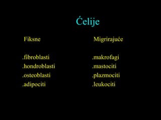 Ćelije
Fiksne
.fibroblasti
.hondroblasti
.osteoblasti
.adipociti
Migrirajuće
.makrofagi
.mastociti
.plazmociti
.leukociti
 