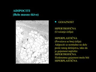 ADIPOCITI
(Belo masno tkivo)
 GOJAZNOST
HIPERTROFIČNA
(Uvećanje ćelija)
HIPERPLASTIČNA
(Povećava se broj ćelija)
Adipociti se normalno ne dele
posle ranog detinjstva, tako da
je gojaznost najčešće
HIPERTROFIČNA.
Eksktremna gojaznost može biti
HIPERPLASTIČNA
 