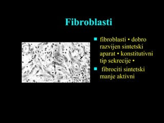 Fibroblasti
 fibroblasti • dobrofibroblasti • dobro
razvijen sintetskirazvijen sintetski
aparat • konstitutivniaparat • konstitutivni
tip sekrecije •tip sekrecije •
 fibrociti sintetskifibrociti sintetski
manje aktivnimanje aktivni
 