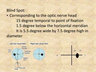 visual field analysis | PPTX