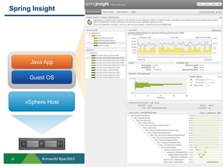 Spring InsightJava AppGuest OSvSphere Host