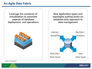 An Agile Data Fabric


      Leverage the construct of       New application types and
      virtualization to automate     topologies putting strain on
         aspects of database          database-only approach to
     deployment and operations            data management



                                    Latency /             Big Data /
                                   Scalability            Analytics




                                   Multi Site /              New
                                   Multi Cloud            Data Types
VMware Confidential


12
 