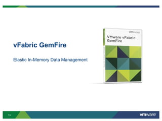 vFabric GemFire

     Elastic In-Memory Data Management




13
 