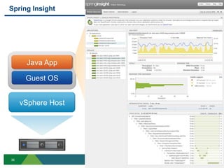 Spring Insight




      Java App

      Guest OS


     vSphere Host




36
 
