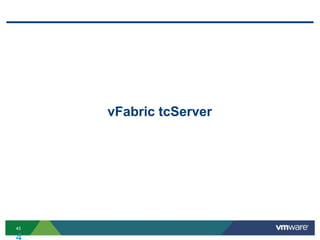 vFabric tcServer




45
 