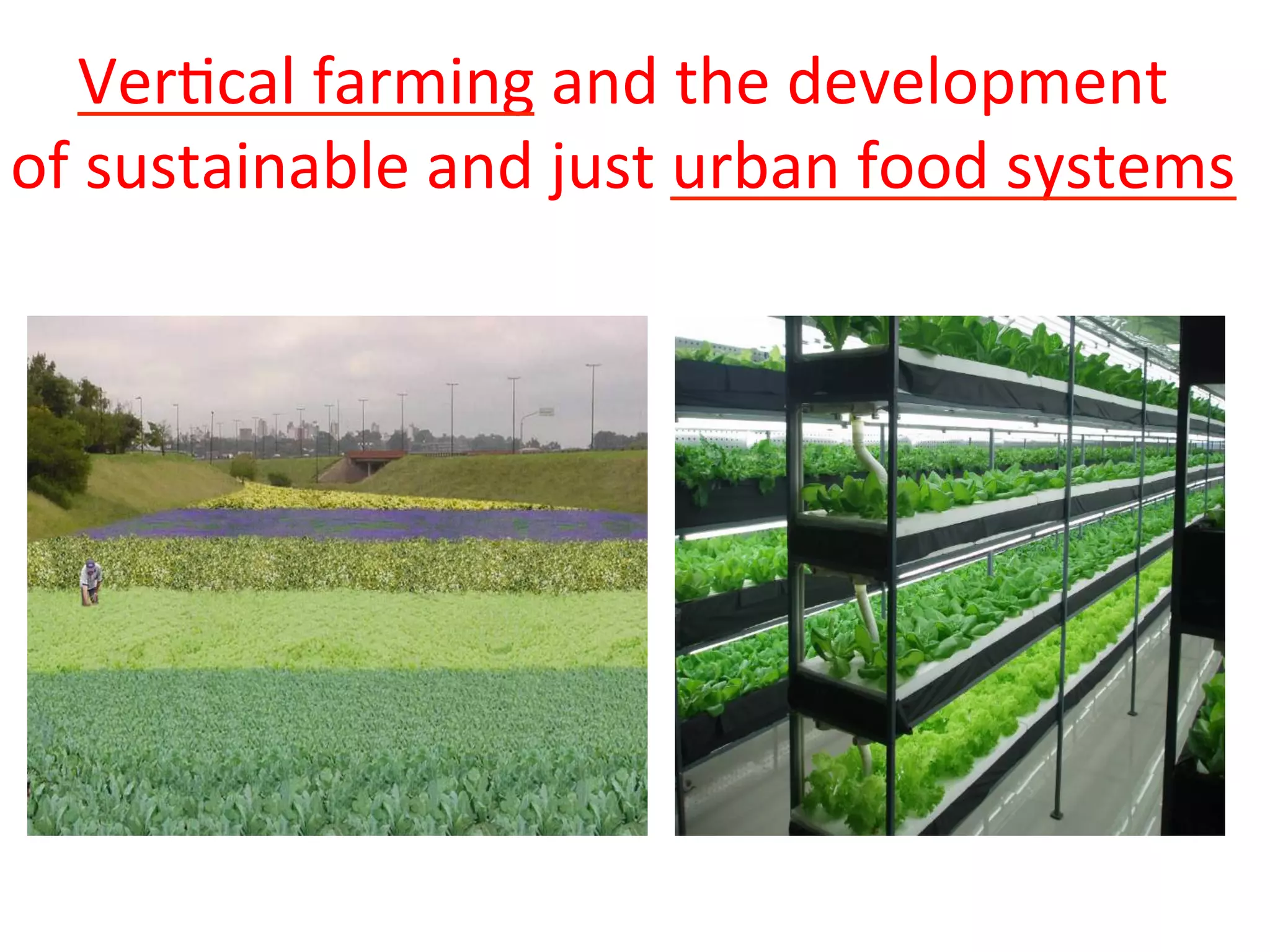 Vertical Farming and Development of Sustainable Urban Food Systems 2015 ...