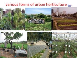 Vertical Farming and Development of Sustainable Urban Food Systems 2015 ...