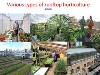 Vertical Farming and Development of Sustainable Urban Food Systems 2015 ...