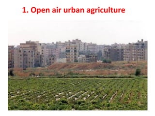 Vertical Farming and Development of Sustainable Urban Food Systems 2015 ...