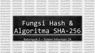 Fungsi Hash &
Algoritma SHA-256
Kelompok 5 – Sistem Informasi 2A
 