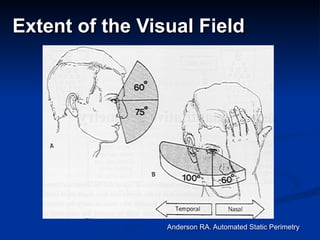 Extent of the Visual Field
Anderson RA. Automated Static Perimetry
 