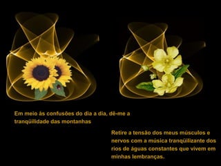 Retire a tensão dos meus músculos e
nervos com a música tranqüilizante dos
rios de águas constantes que vivem em
minhas lembranças.
Em meio às confusões do dia a dia, dê-me a
tranqüilidade das montanhas.
 