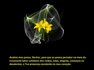 Acalme meu passo, Senhor, para que eu possa perceber no meio do
incessante labor cotidiano dos ruídos, lutas, alegrias, cansaços ou
desalentos, a Tua presença constante no meu coração.
 