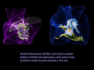 Acalme meu passo, Senhor, para que eu possa
entoar o cântico da esperança, sorrir para o meu
próximo e calar-me para escutar a Tua voz
 