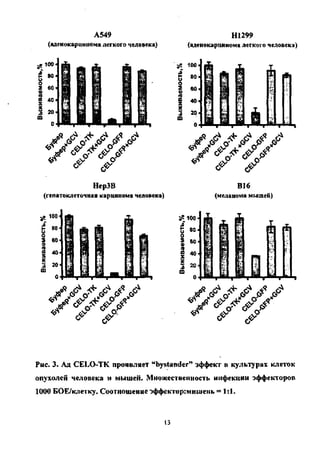 А549
(аденокарцинома легкого человека)
Н1299
(аденокарцинома легкого человека)
«Я г"£ **- г^ * &
</ V oV
НерЗВ
(гепатоклеточная карцинома человека)
W.
"а
* Г*
nwВ16
(меланома мышей)
а? юо
.« JET сГ «© J * сР
Рис. 3. Ад CELO-TK проявляет "bystander" эффект в культурах клеток
опухолей человека и мышей. Множественность инфекции эффекторов
1000 БОЕ/клетку. Соотношение эффектор:мишень =1:1.
13
Copyright ОАО «ЦКБ «БИБКОМ» & ООО «Aгентство Kнига-Cервис»
 