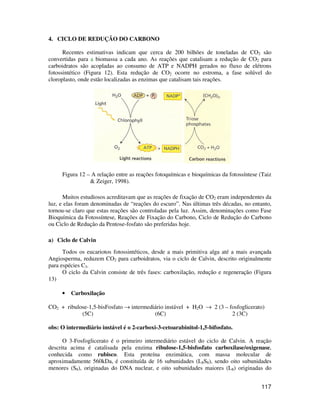 117 
4. CICLO DE REDUÇÃO DO CARBONO 
Recentes estimativas indicam que cerca de 200 bilhões de toneladas de CO2 são 
convertidas para a biomassa a cada ano. As reações que catalisam a redução de CO2 para 
carboidratos são acopladas ao consumo de ATP e NADPH gerados no fluxo de elétrons 
fotossintético (Figura 12). Esta redução de CO2 ocorre no estroma, a fase solúvel do 
cloroplasto, onde estão localizadas as enzimas que catalisam tais reações. 
Figura 12 – A relação entre as reações fotoquímicas e bioquímicas da fotossíntese (Taiz 
& Zeiger, 1998). 
Muitos estudiosos acreditavam que as reações de fixação de CO2 eram independentes da 
luz, e elas foram denominadas de “reações do escuro”. Nas últimas três décadas, no entanto, 
tornou-se claro que estas reações são controladas pela luz. Assim, denominações como Fase 
Bioquímica da Fotossíntese, Reações de Fixação do Carbono, Ciclo de Redução do Carbono 
ou Ciclo de Redução da Pentose-fosfato são preferidas hoje. 
a) Ciclo de Calvin 
Todos os eucariotos fotossintéticos, desde a mais primitiva alga até a mais avançada 
Angiosperma, reduzem CO2 para carboidratos, via o ciclo de Calvin, descrito originalmente 
para espécies C3. 
O ciclo da Calvin consiste de três fases: carboxilação, redução e regeneração (Figura 
13) 
• Carboxilação 
CO2 + ribulose-1,5-bisFosfato ® intermediário instável + H2O ® 2 (3 – fosfoglicerato) 
(5C) (6C) 2 (3C) 
obs: O intermediário instável é o 2-carboxi-3-cetoarabinitol-1,5-bifosfato. 
O 3-Fosfoglicerato é o primeiro intermediário estável do ciclo de Calvin. A reação 
descrita acima é catalisada pela enzima ribulose-1,5-bisfosfato carboxilase/oxigenase, 
conhecida como rubisco. Esta proteína enzimática, com massa molecular de 
aproximadamente 560kDa, é constituída de 16 subunidades (L8S8), sendo oito subunidades 
menores (S8), originadas do DNA nuclear, e oito subunidades maiores (L8) originadas do 
 