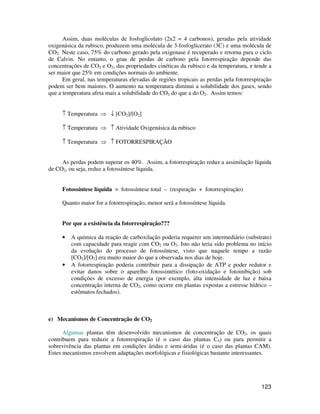 Assim, duas moléculas de fosfoglicolato (2x2 = 4 carbonos), geradas pela atividade 
oxigenásica da rubisco, produzem uma molécula de 3-fosfoglicerato (3C) e uma molécula de 
CO2. Neste caso, 75% do carbono gerado pela oxigenase é recuperado e retorna para o ciclo 
de Calvin. No entanto, o grau de perdas de carbono pela fotorrespiração depende das 
concentrações de CO2 e O2, das propriedades cinéticas da rubisco e da temperatura, e tende a 
ser maior que 25% em condições normais do ambiente. 
Em geral, nas temperaturas elevadas de regiões tropicais as perdas pela fotorrespiração 
podem ser bem maiores. O aumento na temperatura diminui a solubilidade dos gases, sendo 
que a temperatura afeta mais a solubilidade do CO2 do que a do O2. Assim temos: 
123 
­ Temperatura  ¯ [CO2]/[O2] 
­ Temperatura  ­ Atividade Oxigenásica da rubisco 
­ Temperatura  ­ FOTORRESPIRAÇÃO 
As perdas podem superar os 40%. Assim, a fotorrespiração reduz a assimilação líquida 
de CO2, ou seja, reduz a fotossíntese líquida. 
Fotossíntese líquida = fotossíntese total – (respiração + fotorrespiração) 
Quanto maior for a fotorrespiração, menor será a fotossíntese líquida. 
Por que a existência da fotorrespiração??? 
• A química da reação de carboxilação poderia requerer um intermediário (substrato) 
com capacidade para reagir com CO2 ou O2. Isto não teria sido problema no início 
da evolução do processo de fotossíntese, visto que naquele tempo a razão 
[CO2]/[O2] era muito maior do que a observada nos dias de hoje. 
• A fotorrespiração poderia contribuir para a dissipação de ATP e poder redutor e 
evitar danos sobre o aparelho fotossintético (foto-oxidação e fotoinibição) sob 
condições de excesso de energia (por exemplo, alta intensidade de luz e baixa 
concentração interna de CO2, como ocorre em plantas expostas a estresse hídrico – 
estômatos fechados). 
e) Mecanismos de Concentração de CO2 
Algumas plantas têm desenvolvido mecanismos de concentração de CO2, os quais 
contribuem para reduzir a fotorrespiração (é o caso das plantas C4) ou para permitir a 
sobrevivência das plantas em condições áridas e semi-áridas (é o caso das plantas CAM). 
Estes mecanismos envolvem adaptações morfológicas e fisiológicas bastante interessantes. 
 