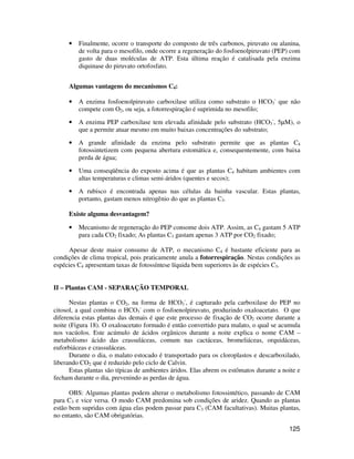 • Finalmente, ocorre o transporte do composto de três carbonos, piruvato ou alanina, 
de volta para o mesofilo, onde ocorre a regeneração do fosfoenolpiruvato (PEP) com 
gasto de duas moléculas de ATP. Esta última reação é catalisada pela enzima 
diquinase do piruvato ortofosfato. 
- que não 
125 
Algumas vantagens do mecanismos C4: 
• A enzima fosfoenolpiruvato carboxilase utiliza como substrato o HCO3 
compete com O2, ou seja, a fotorrespiração é suprimida no mesofilo; 
• A enzima PEP carboxilase tem elevada afinidade pelo substrato (HCO3 
-, 5μM), o 
que a permite atuar mesmo em muito baixas concentrações do substrato; 
• A grande afinidade da enzima pelo substrato permite que as plantas C4 
fotossintetizem com pequena abertura estomática e, consequentemente, com baixa 
perda de água; 
• Uma conseqüência do exposto acima é que as plantas C4 habitam ambientes com 
altas temperaturas e climas semi-áridos (quentes e secos); 
• A rubisco é encontrada apenas nas células da bainha vascular. Estas plantas, 
portanto, gastam menos nitrogênio do que as plantas C3. 
Existe alguma desvantagem? 
• Mecanismo de regeneração do PEP consome dois ATP. Assim, as C4 gastam 5 ATP 
para cada CO2 fixado; As plantas C3 gastam apenas 3 ATP por CO2 fixado; 
Apesar deste maior consumo de ATP, o mecanismo C4 é bastante eficiente para as 
condições de clima tropical, pois praticamente anula a fotorrespiração. Nestas condições as 
espécies C4 apresentam taxas de fotossíntese líquida bem superiores às de espécies C3. 
II – Plantas CAM - SEPARAÇÃO TEMPORAL 
Nestas plantas o CO2, na forma de HCO3 
-, é capturado pela carboxilase do PEP no 
citosol, a qual combina o HCO3 
- com o fosfoenolpiruvato, produzindo oxaloacetato. O que 
diferencia estas plantas das demais é que este processo de fixação de CO2 ocorre durante a 
noite (Figura 18). O oxaloacetato formado é então convertido para malato, o qual se acumula 
nos vacúolos. Este acúmulo de ácidos orgânicos durante a noite explica o nome CAM – 
metabolismo ácido das crassuláceas, comum nas cactáceas, bromeliáceas, orquidáceas, 
euforbiáceas e crassuláceas. 
Durante o dia, o malato estocado é transportado para os cloroplastos e descarboxilado, 
liberando CO2 que é reduzido pelo ciclo de Calvin. 
Estas plantas são típicas de ambientes áridos. Elas abrem os estômatos durante a noite e 
fecham durante o dia, prevenindo as perdas de água. 
OBS: Algumas plantas podem alterar o metabolismo fotossintético, passando de CAM 
para C3 e vice versa. O modo CAM predomina sob condições de aridez. Quando as plantas 
estão bem supridas com água elas podem passar para C3 (CAM facultativas). Muitas plantas, 
no entanto, são CAM obrigatórias. 
 