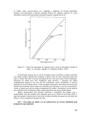 C4 (milho, sorgo, cana-de-açúcar, etc.), adaptadas a ambientes de elevada intensidade 
luminosa, não apresentam a referida saturação (Figura 25). Algumas espécies C3, como 
amendoim e girassol não apresentam saturação até quase completa luz do sol. 
Figura 25 – Efeito da intensidade de radiação sobre a taxa de fotossíntese líquida de 
135 
milho - C4 e de trigo e algodão - C3 (Salisbury  Ross, 1991). 
É interessante destacar que as curvas mostradas acima se referem a estudos realizados 
com folhas isoladas. Quando nós avaliamos a planta como um todo, observamos que nem 
todas as folhas absorvem a mesma intensidade de luz, visto que muitas ficam sombreadas. 
Exposição da planta para altas irradiâncias pode provocar a saturação das folhas 
completamente expostas à luz, mas não das sombreadas. Assim, dificilmente se observa 
saturação ao nível de planta inteira. Como resultado, uma planta, uma cultura ou mesmo uma 
floresta provavelmente nunca recebe luz suficiente para maximizar a sua taxa fotossintética. 
Assim, as plantas que tem um melhor arranjamento das folhas e distribuem a luz de maneira 
mais uniforme entre as diferentes folhas, poderá apresentar uma maior produtividade. 
Muitos pesquisadores têm buscado relacionar a arquitetura das plantas com a 
produtividade. Uma das medidas mais utilizadas para isto é o índice de área foliar (IAF), o 
qual corresponde à relação entre a área foliar da planta (medida em apenas um dos lados das 
folhas) e a área ocupada pela projeção da copa. 
IAF = Área foliar da planta (ou da cultura)/Área do terreno delimitada pela 
projeção da copa (plantado) 
 