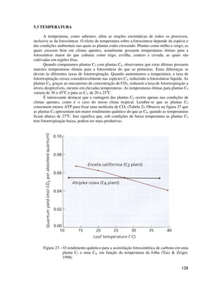 139 
5.3 TEMPERATURA 
A temperatura, como sabemos, afeta as reações enzimáticas de todos os processos, 
inclusive as da fotossíntese. O efeito da temperatura sobre a fotossíntese depende da espécie e 
das condições ambientais nas quais as plantas estão crescendo. Plantas como milho e sorgo, as 
quais crescem bem em climas quentes, usualmente possuem temperaturas ótimas para a 
fotossíntese maior do que culturas como trigo, ervilha, centeio e cevada, as quais são 
cultivadas em regiões frias. 
Quando comparamos plantas C3 com plantas C4, observamos que estas últimas possuem 
maiores temperaturas ótimas para a fotossíntese do que as primeiras. Estas diferenças se 
devem às diferentes taxas de fotorrespiração. Quando aumentamos a temperatura, a taxa de 
fotorrespiração cresce consideravelmente nas espécies C3, reduzindo a fotossíntese líquida. As 
plantas C4, graças ao mecanismo de concentração de CO2, reduzem a taxa de fotorrespiração a 
níveis desprezíveis, mesmo em elevadas temperaturas. As temperaturas ótimas para plantas C4 
variam de 30 a 45oC e para as C3, de 20 a 25oC. 
É interessante destacar que a vantagem das plantas C4 ocorre apenas nas condições de 
climas quentes, como é o caso do nosso clima tropical. Lembre-se que as plantas C3 
consomem menos ATP para fixar uma molécula de CO2 (Tabela 2). Observe na figura 27 que 
as plantas C3 apresentam um maior rendimento quântico do que as C4, quando as temperaturas 
ficam abaixo de 27oC. Isto significa que, sob condições de baixa temperatura as plantas C3 
tem fotorrespiração baixa, podem ser mais produtivas. 
Figura 27 – O rendimento quântico para a assimilação fotossintética de carbono em uma 
planta C3 e uma C4, em função da temperatura da folha (Taiz  Zeiger, 
1998) 
 